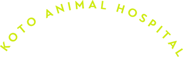 KOTO ANIMAL HOSPITAL