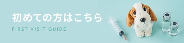 初めての方はこちら
