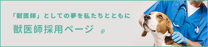 「獣医師」としての夢を私たちとともに 獣医師採用ページ