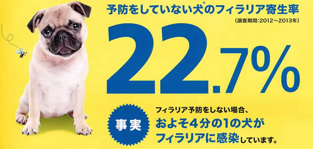 犬のフィラリア予防