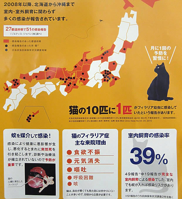 猫のフィラリア予防