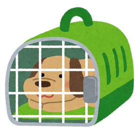 子犬