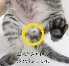 排泄の促し方
