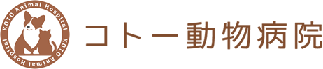 さいたま市南区、浦和・南浦和の動物病院ならコトー動物病院